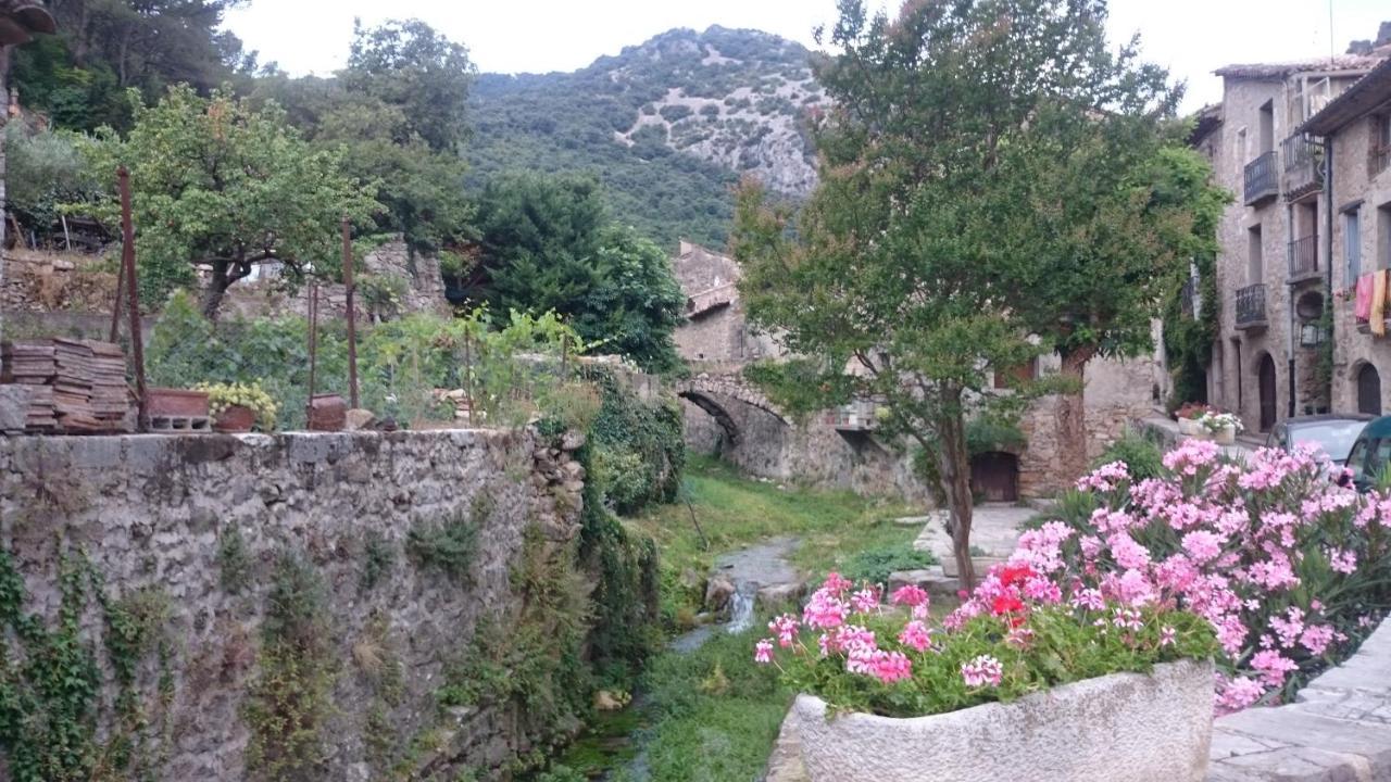 Gite De La Tour Saint-Guilhem-le-Desert Exterior photo